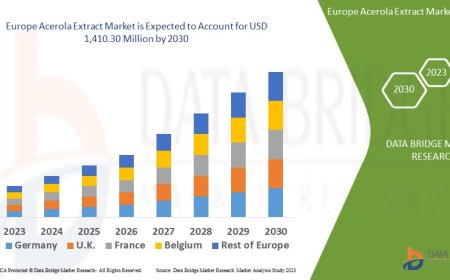 Europe Acerola Extract Market : Size, Share, and Growth Opportunities 2025 –2032