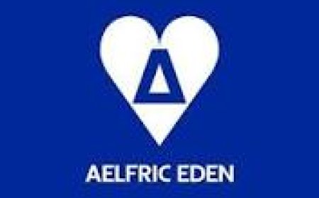 Aelfric Eden Shirt Streetwear Redefined with Bold Statements and Iconic Aesthetic