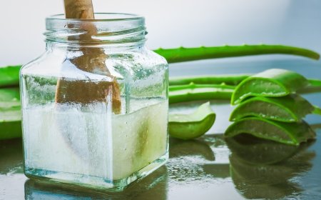 Establishing a Profitable Aloe Vera Processing Plant Setup 2025, Project Cost Details