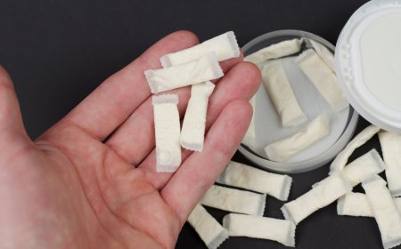 Project Report on Requirements and Cost for Setting up a Nicotine Pouches Manufacturing Plant