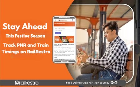 Why Checking PNR Status Is Crucial During Festive and Holiday Seasons – A RailRestro Guide