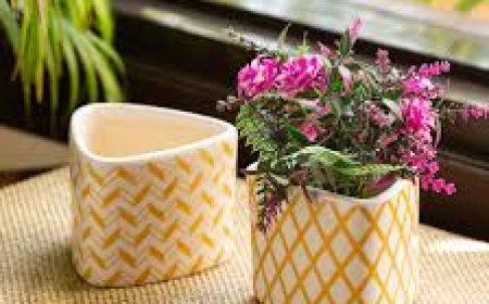 Looking to Buy in Bulk? Here’s Why Wholesale Plant Pots Are a Smart Choice for Your Business