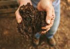 Turn Waste into Wealth – How Vermi Compost Boosts Soil Health and Crop Yields
