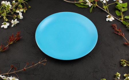 Are Microwave Safe Ceramic Plates Worth It? Here’s Everything You Should Know