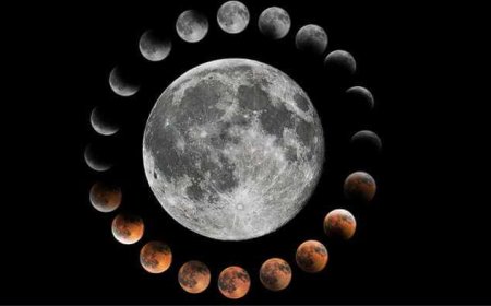 Lunar Elegance: Transform Your Space with the Moon