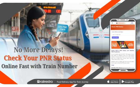 Check PNR Status Online in Just 5 Seconds Using Train Number