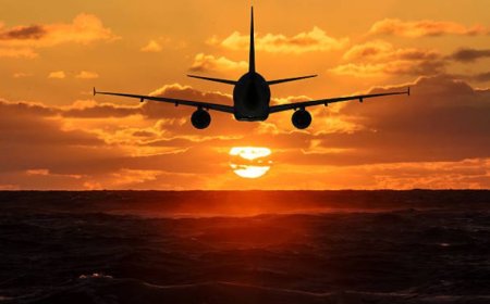 United Airlines Newark Airport Terminal: A Complete Traveler's Guide