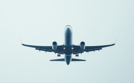 Visa Questions Answered by Singapore Airlines Phone Number Orlando