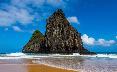 Turkish Airlines New York City Office: Local Expertise for Global Travel