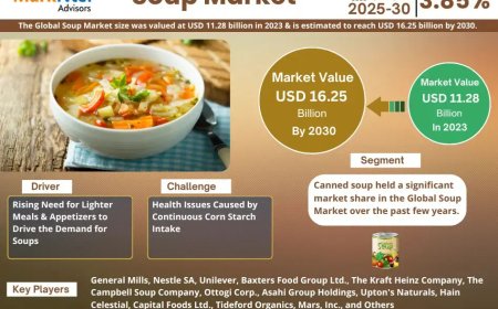 Soup Market Poised for Strong 3.85% CAGR Through 2030 | Size & Opportunity Insights