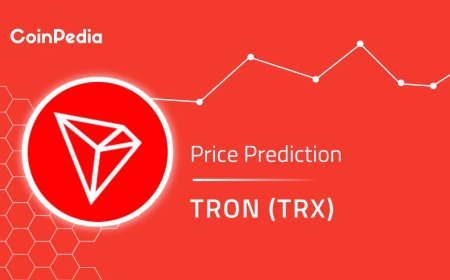 How High Will XCD Go by 2030? Price Prediction and Market Outlook