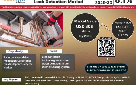Top 5 Trends Shaping the Future of Middle East & Africa Leak Detection Market