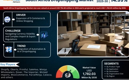 Top 5 Trends Shaping the Future of South Africa Dropshipping Market