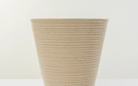 Buy Big Plant Pots Online for a Better Garden Setup