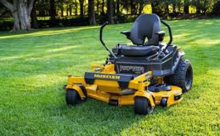 Where to Find the Best Lawn Mowers for Sale in Louisiana This Season