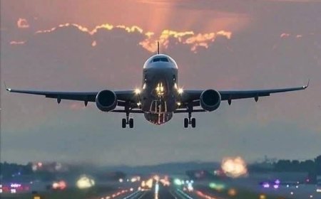 Which Terminal is Caribbean Airlines at JFK