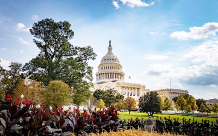 Discover the Rich Heritage of Nantucket Island Historic Tour