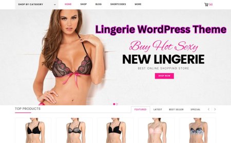 Which Lingerie WordPress Theme Is Best For Your Online Sales?
