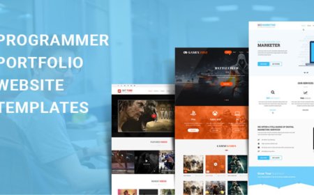 Which Programmer Portfolio WordPress Theme Is Right for You?