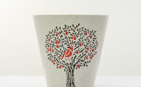 Buy Big Plant Pots Online to Upgrade Your Garden Space