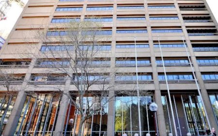What Does a Criminal Lawyer Do in Australia to Defend the Accused?