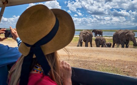 What problems do people face on safari holidays?
