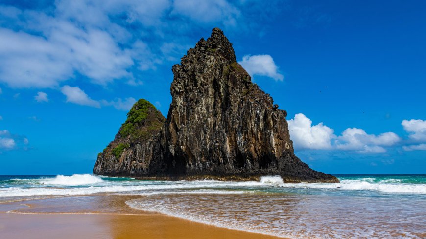 Turkish Airlines New York City Office: Local Expertise for Global Travel